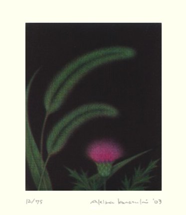 photo23.jpg