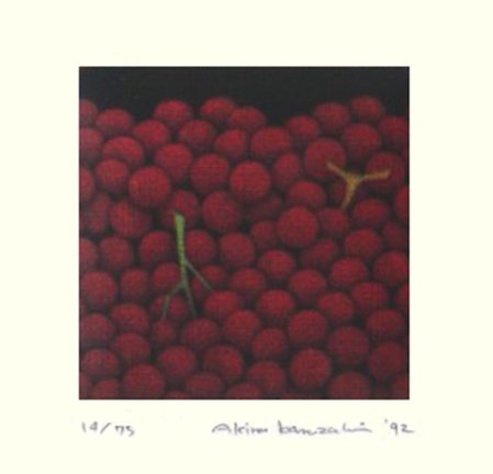photo27.jpg