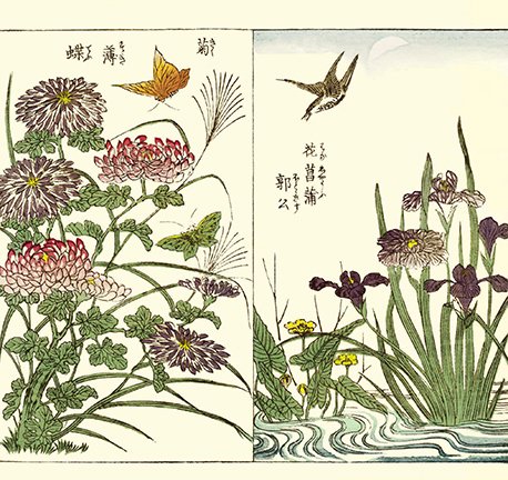 photo7.jpg