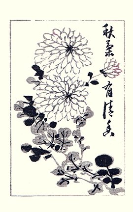photo14.jpg