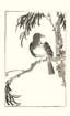 photo18_small.jpg