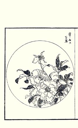 photo18.jpg