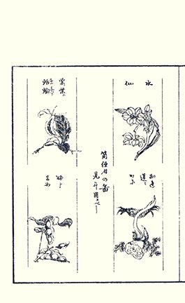 photo20.jpg