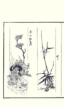 photo23.jpg