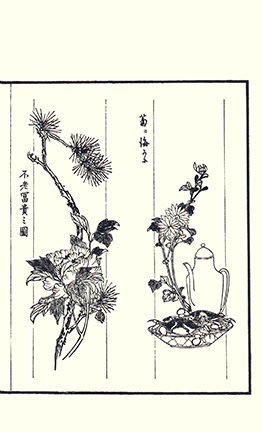 photo34.jpg