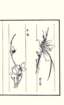 photo35_small.jpg