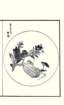 photo40_small.jpg