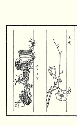photo65.jpg
