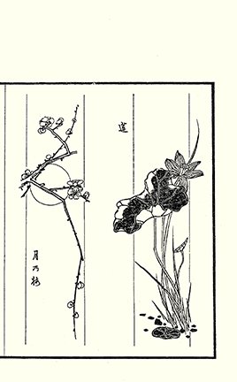 photo67.jpg