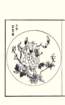 photo16_small.jpg
