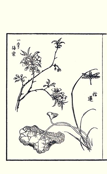 photo21.jpg