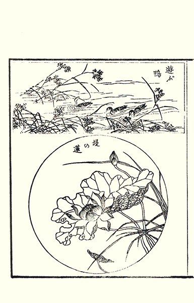 photo27.jpg