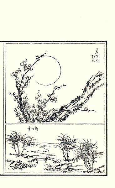 photo41.jpg