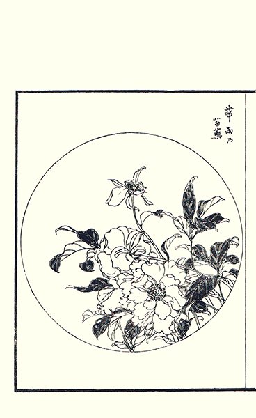 photo53.jpg