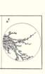 photo61_small.jpg