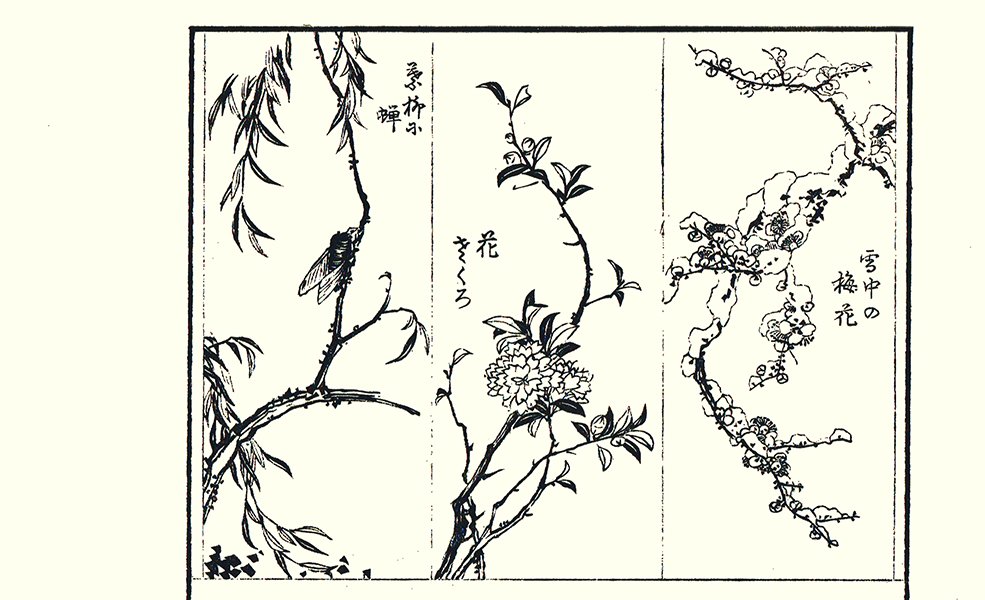 photo7.jpg