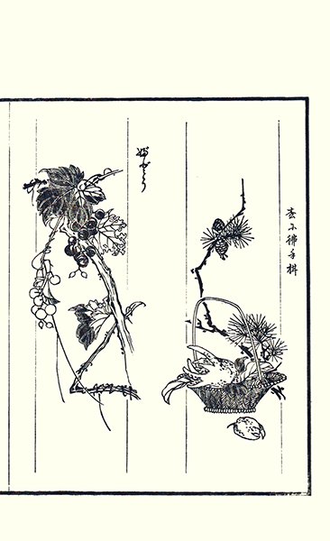 photo81.jpg