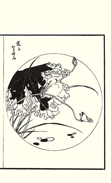 photo83.jpg
