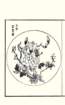 photo16_small.jpg