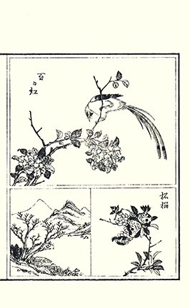 photo34.jpg