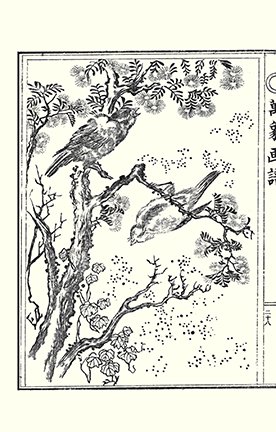 photo9.jpg