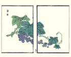 photo6_small.jpg