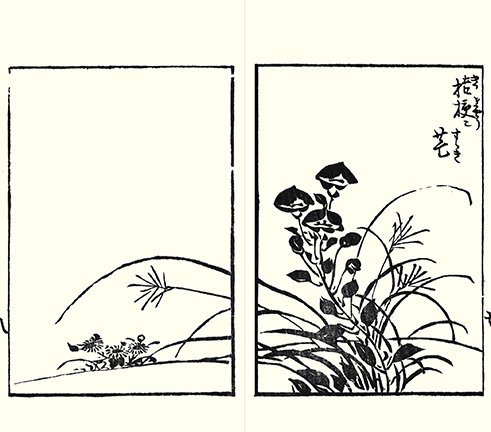 photo22.jpg