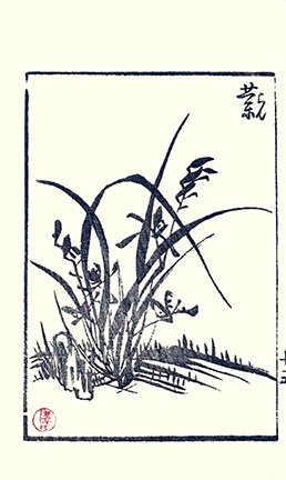 photo30.jpg