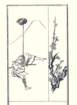 photo12_small.jpg