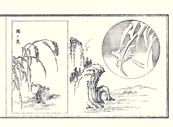 photo15.jpg