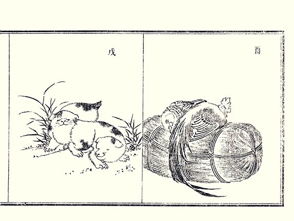 photo5.jpg