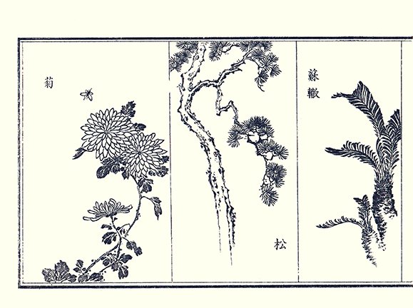 photo7.jpg