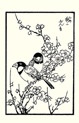 photo10.jpg