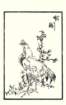 photo11_small.jpg