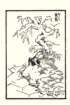 photo12_small.jpg