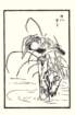 photo13_small.jpg