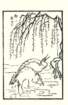 photo15_small.jpg