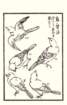 photo2_small.jpg