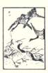 photo7_small.jpg