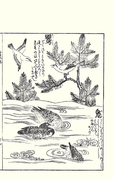 photo28.jpg