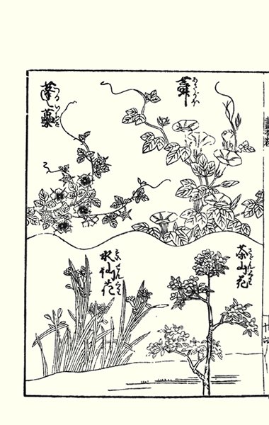 photo71.jpg