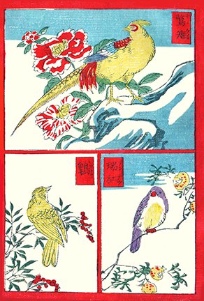 photo7.jpg