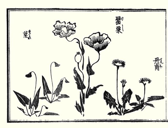 photo14.jpg
