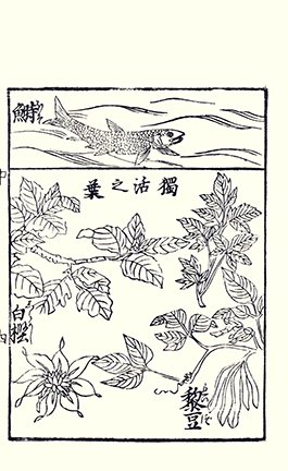 photo19.jpg