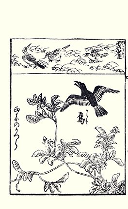 photo22.jpg
