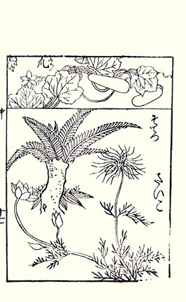 photo25.jpg