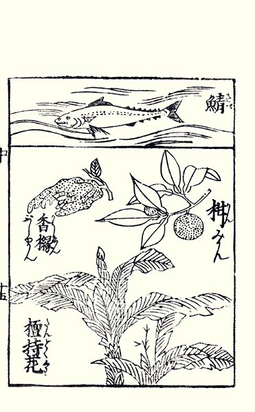 photo21.jpg