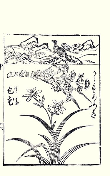 photo23.jpg