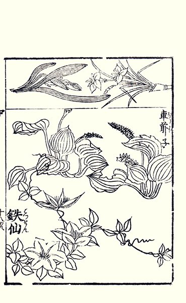 photo27.jpg