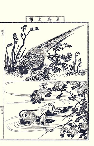 photo16.jpg